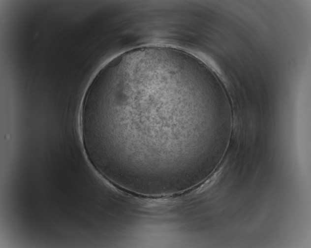 X0000089341247200706290955