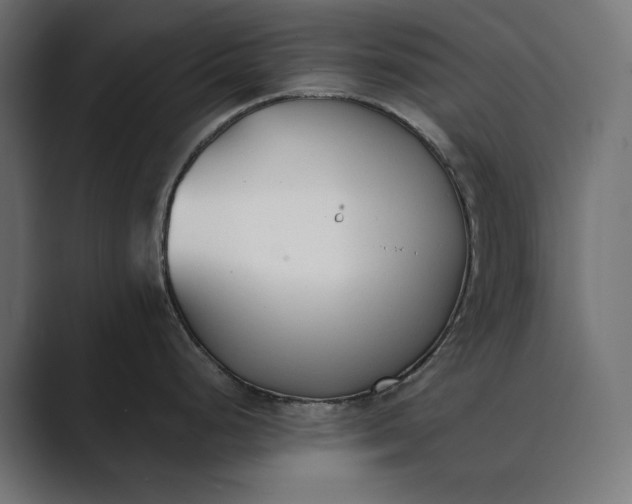 X0000089341248200706290955