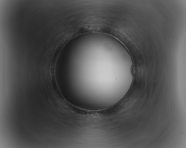 X0000089341250200706290954