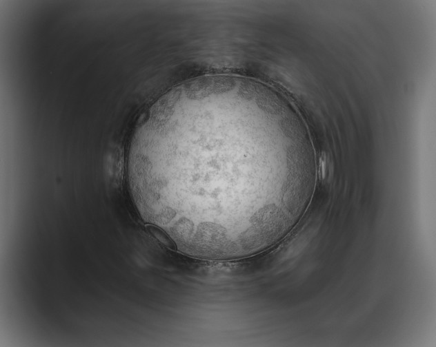 X0000089341251200706290954