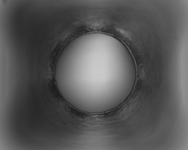 X0000089341253200706290954
