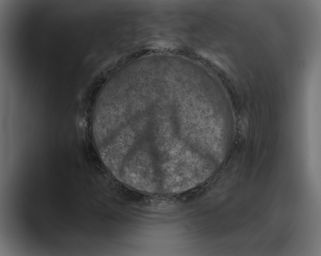 X0000089341254200706290954