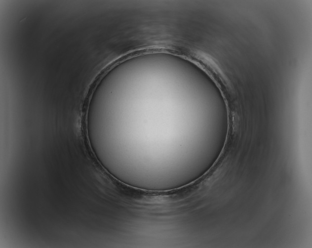 X0000089341260200706290954