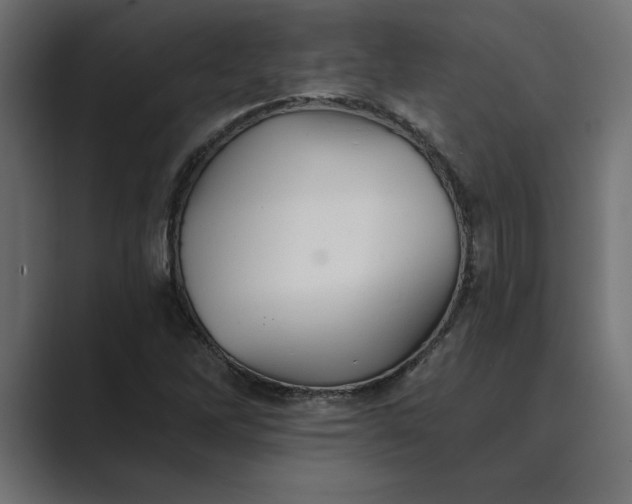 X0000089341262200706290954
