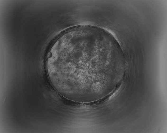 X0000089341263200706290954