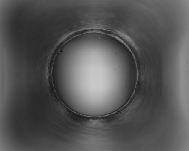 X0000089341264200706290954