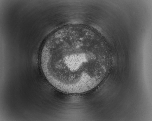X0000089341266200706290954