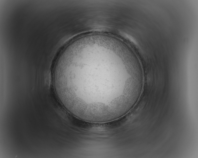 X0000089341267200706290954