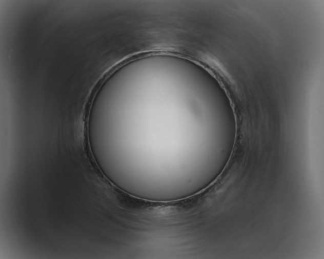 X0000089341268200706290954