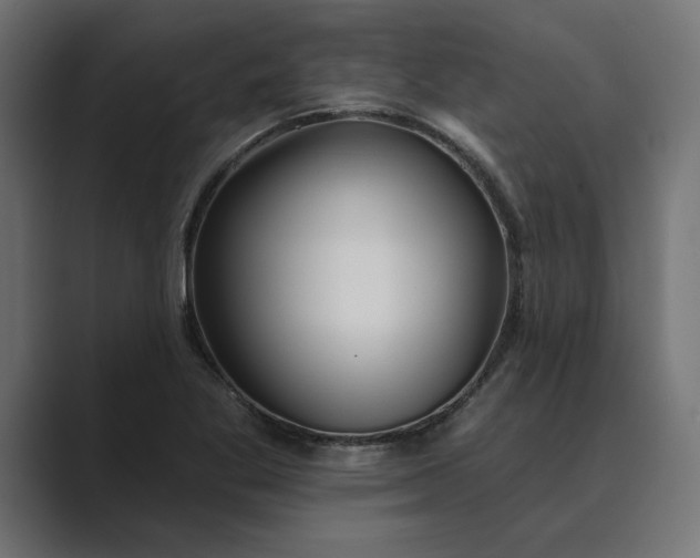 X0000089341269200706290954