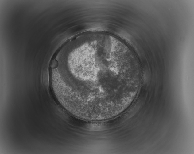 X0000089341274200706290954