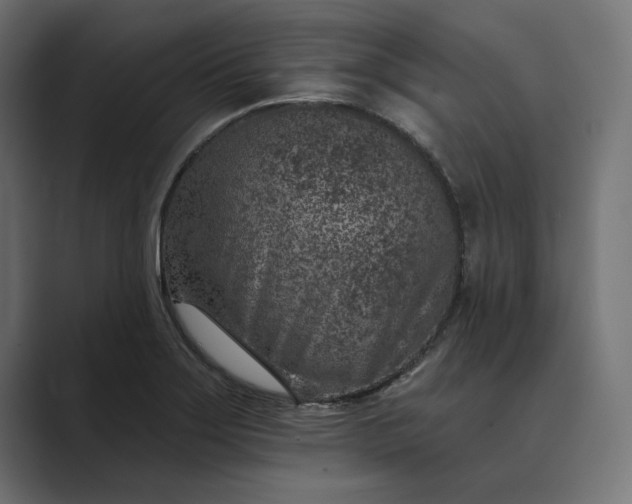 X0000089341275200706290954