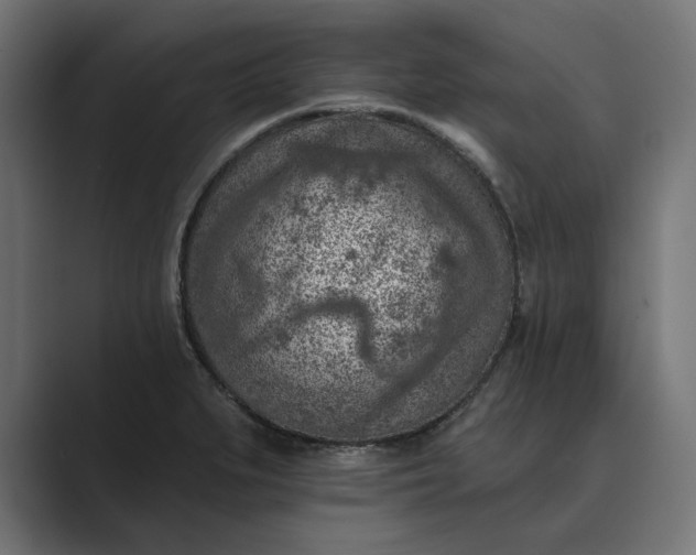 X0000089341279200706290954