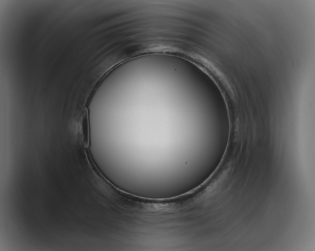 X0000089341281200706290954