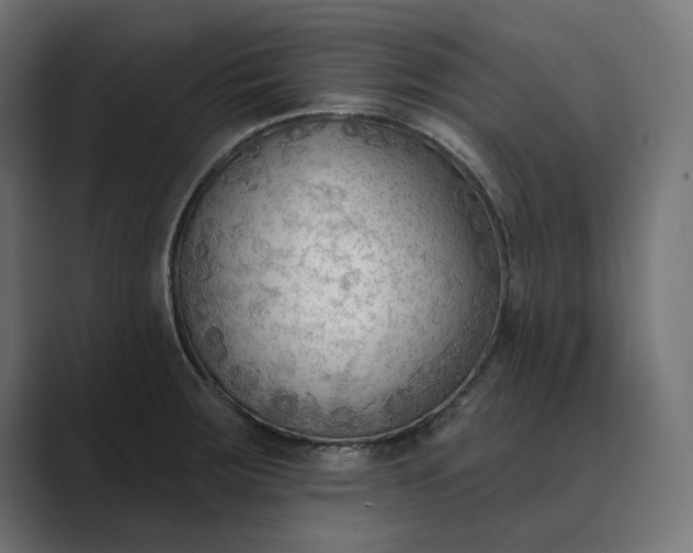 X0000089341283200706290954