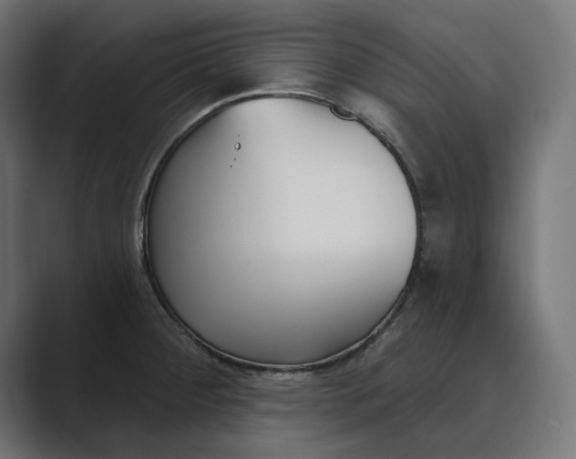 X0000089341284200706290954