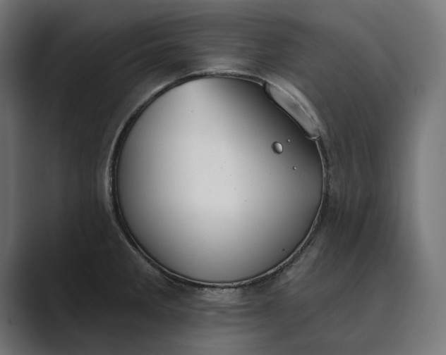 X0000089341285200706290954