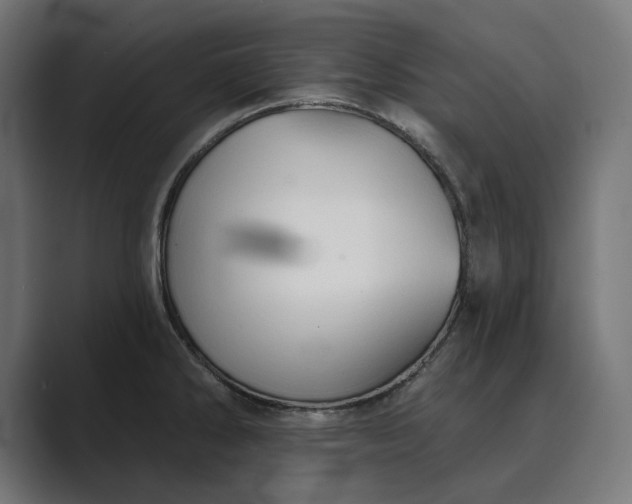X0000089341286200706290954
