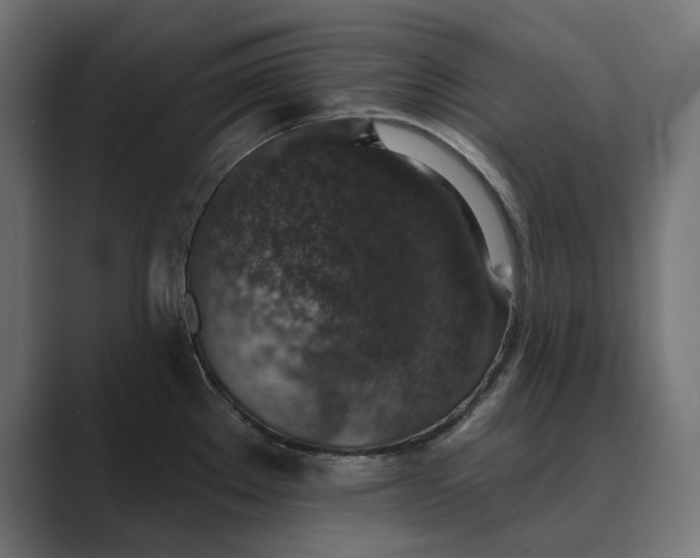 X0000089341289200706290954