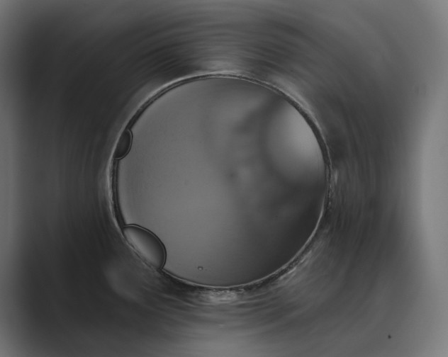 X0000089341291200706290954
