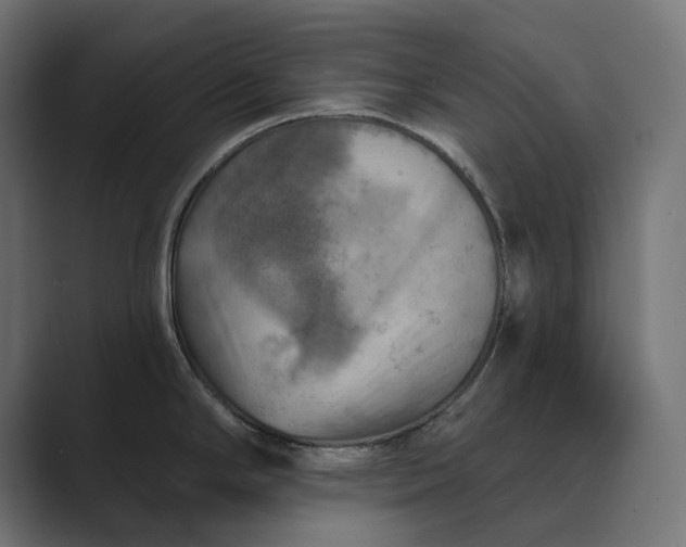 X0000089341294200706290954