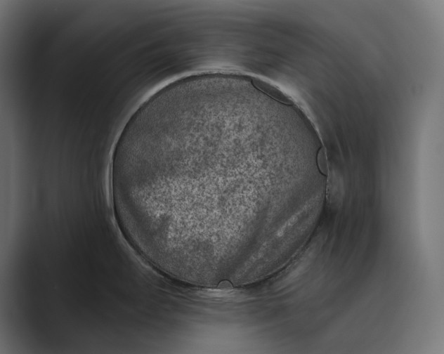 X0000089341295200706290954