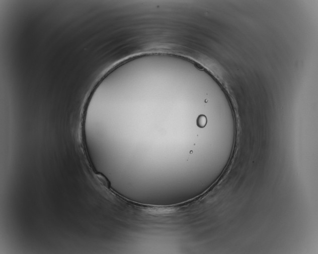 X0000089341296200706290954