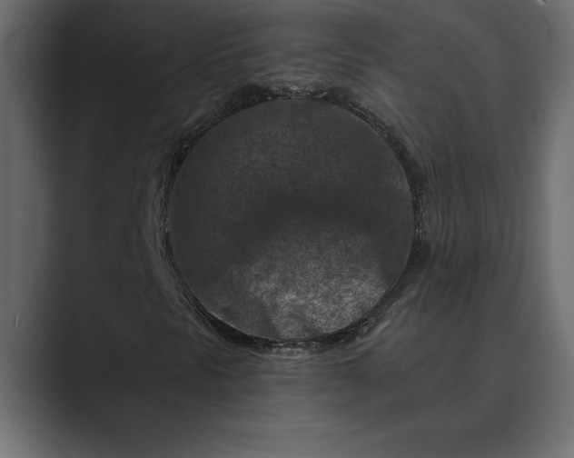X0000089341297200706290953