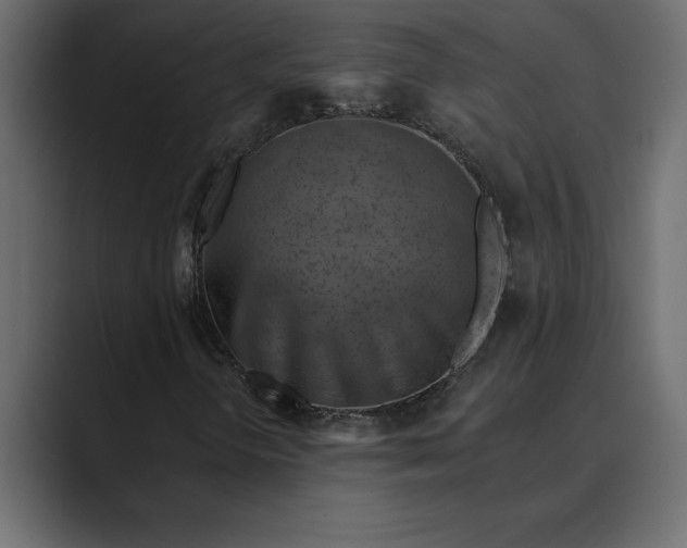 X0000089341298200706290953