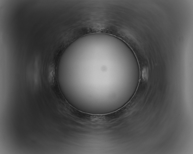 X0000089341299200706290953