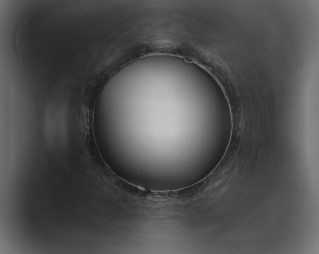 X0000089341301200706290953