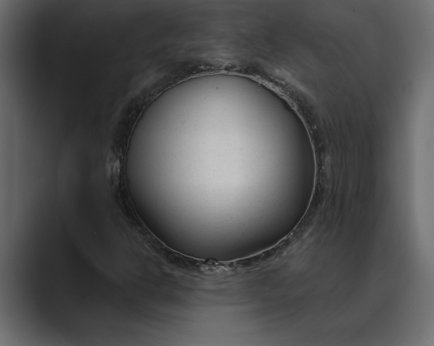 X0000089341302200706290953