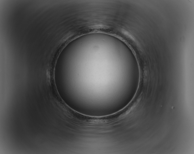 X0000089341305200706290953