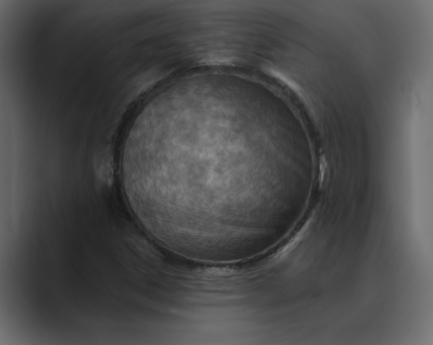 X0000089341306200706290953