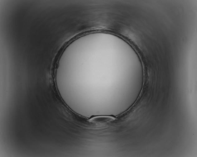 X0000089341308200706290953