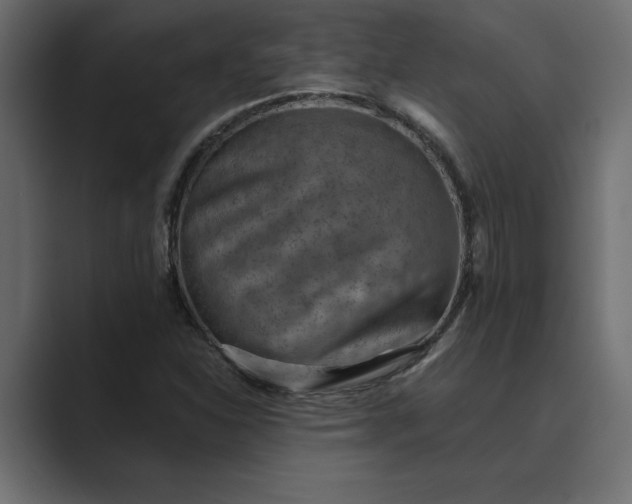 X0000089341310200706290953