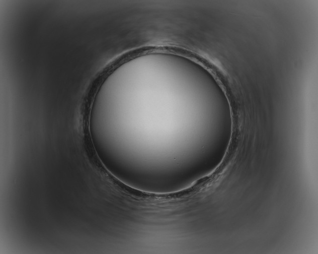 X0000089341311200706290953