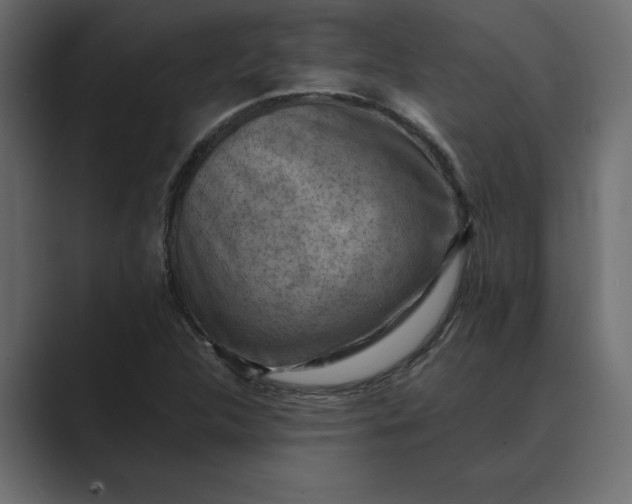 X0000089341312200706290953
