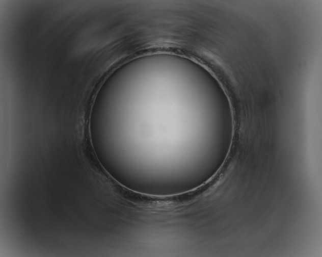 X0000089341313200706290953