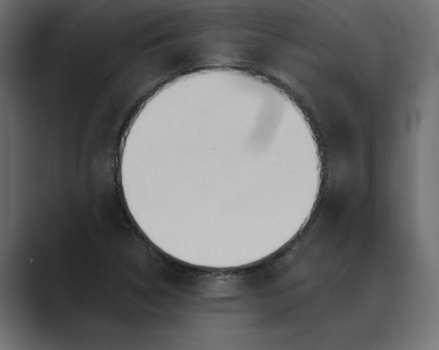 X0000089341314200706290953