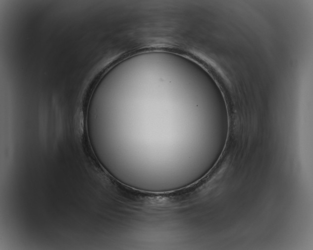 X0000089341317200706290953