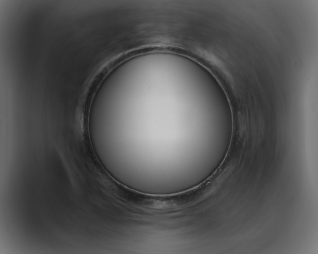 X0000089341318200706290953