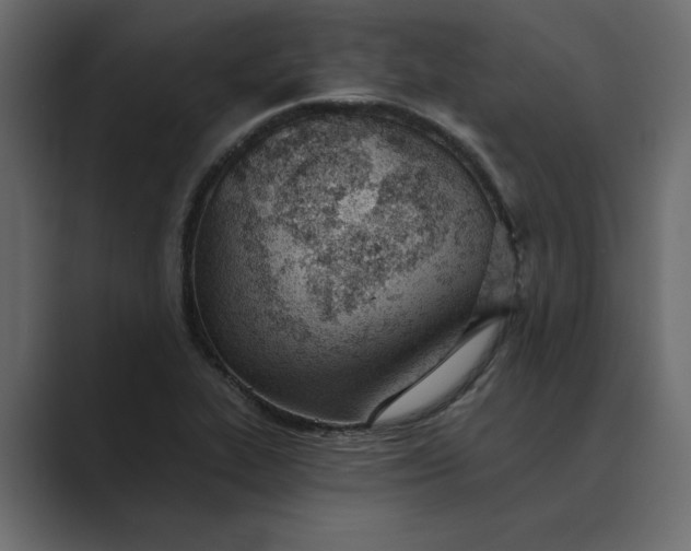 X0000089341319200706290953
