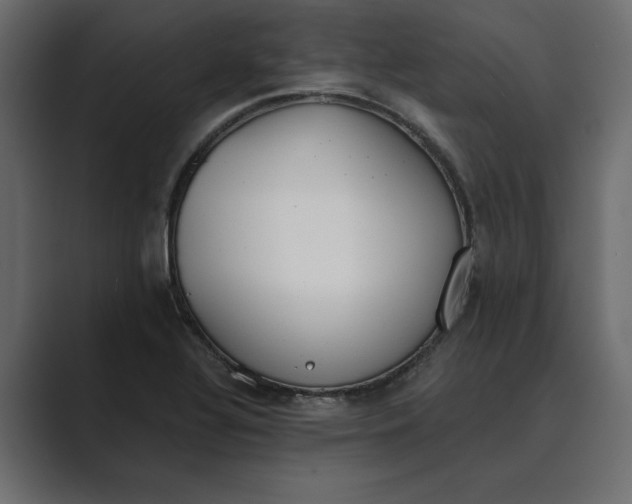 X0000089341320200706290953