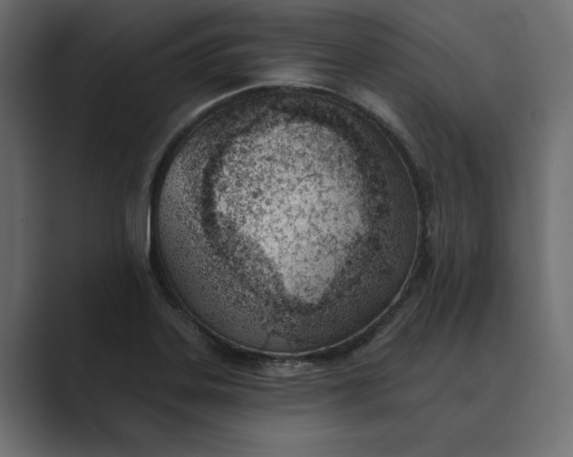 X0000089341323200706290953