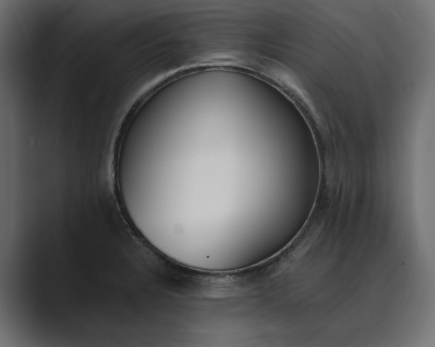 X0000089341328200706290953
