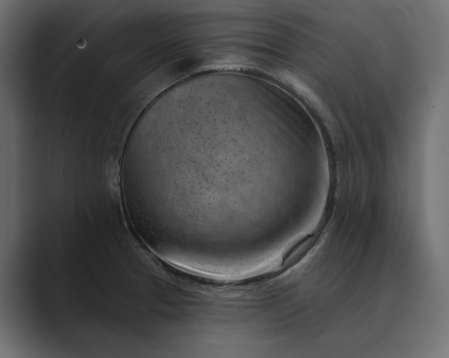 X0000089341329200706290953