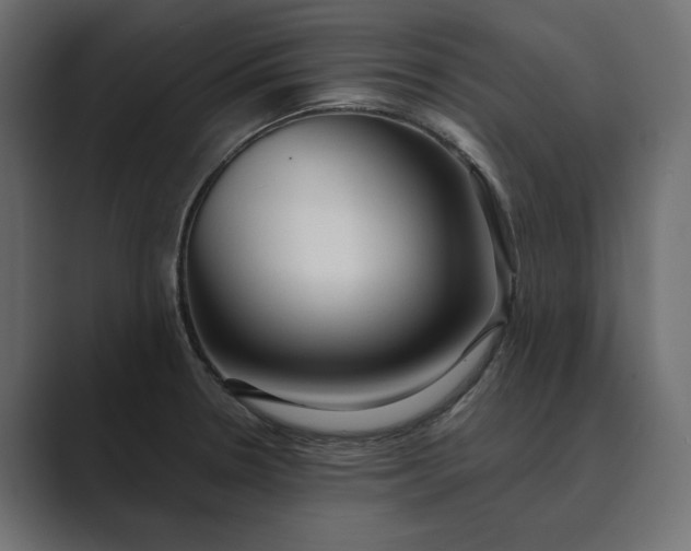 X0000089341330200706290953