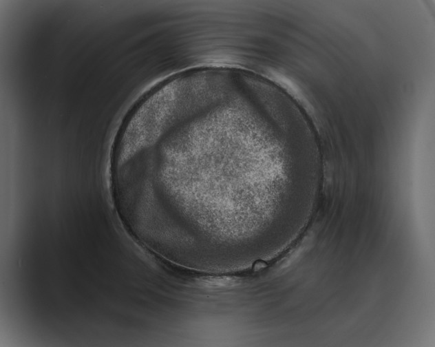 X0000089341331200706290953