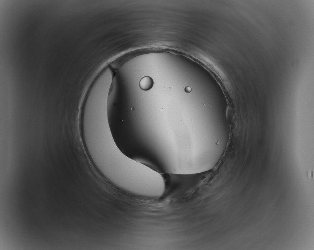 X0000089341332200706290953
